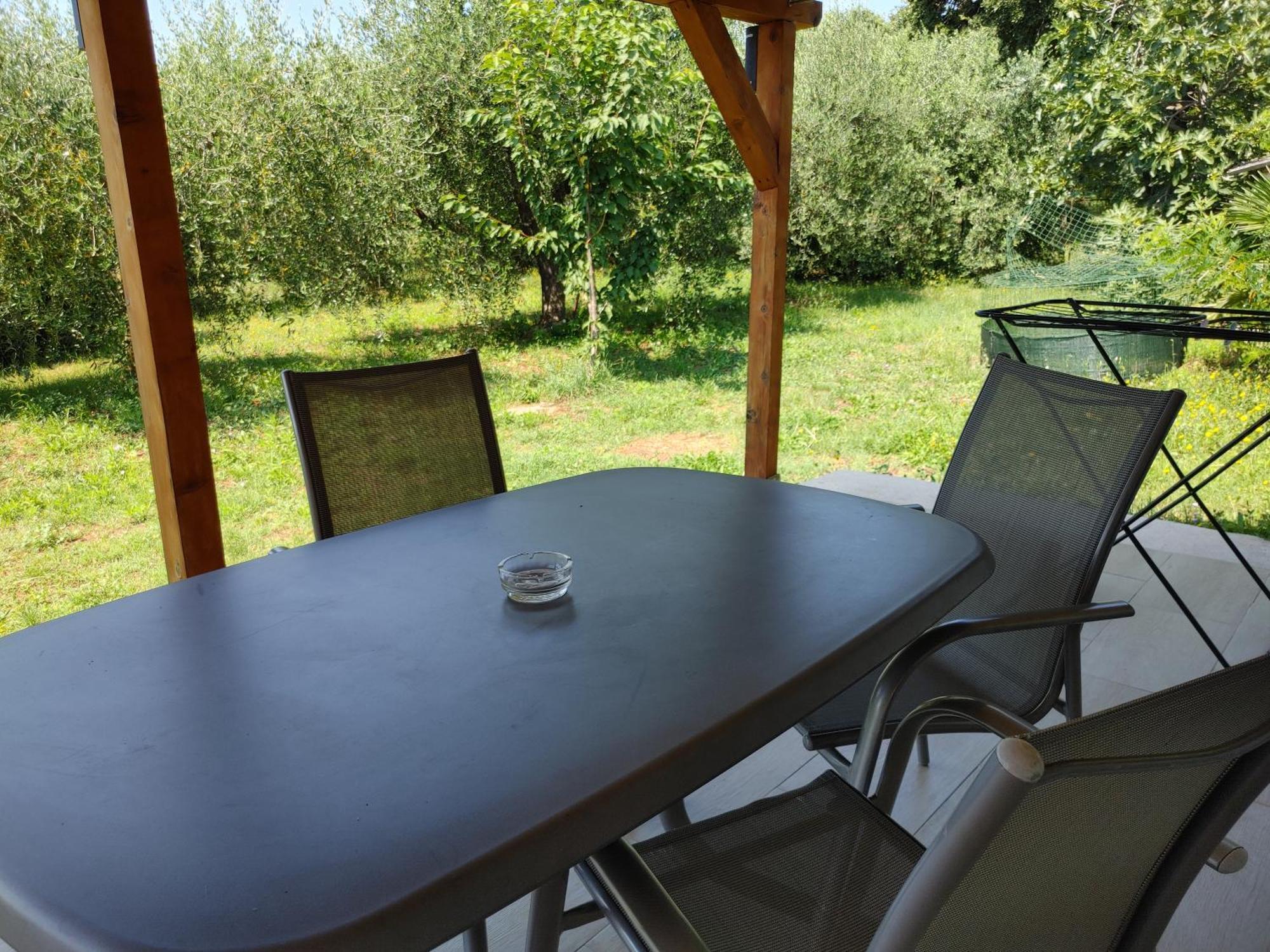 Garden Apartment Dajla
